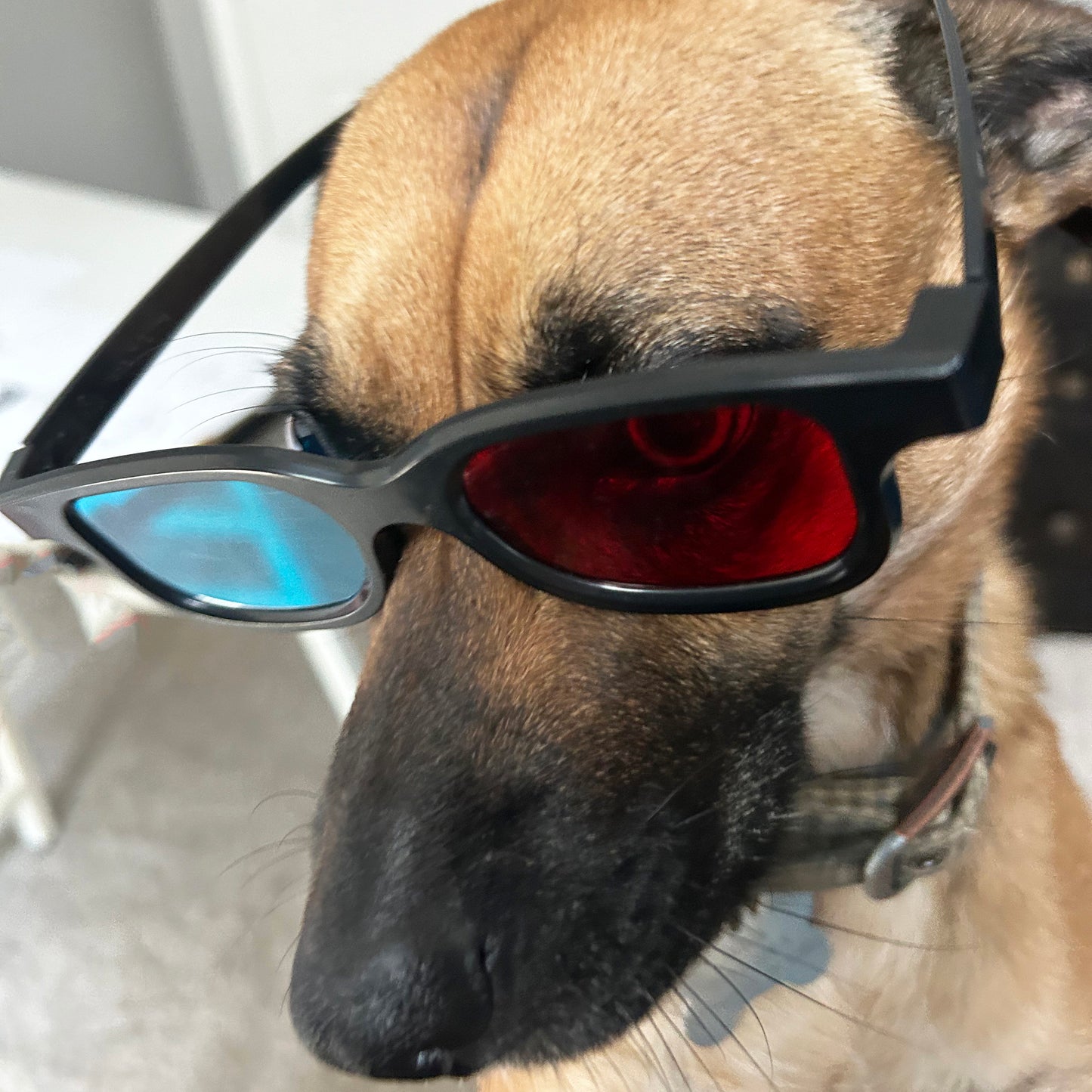 Indiana Dunes 3D T-Shirt & 3D Glasses