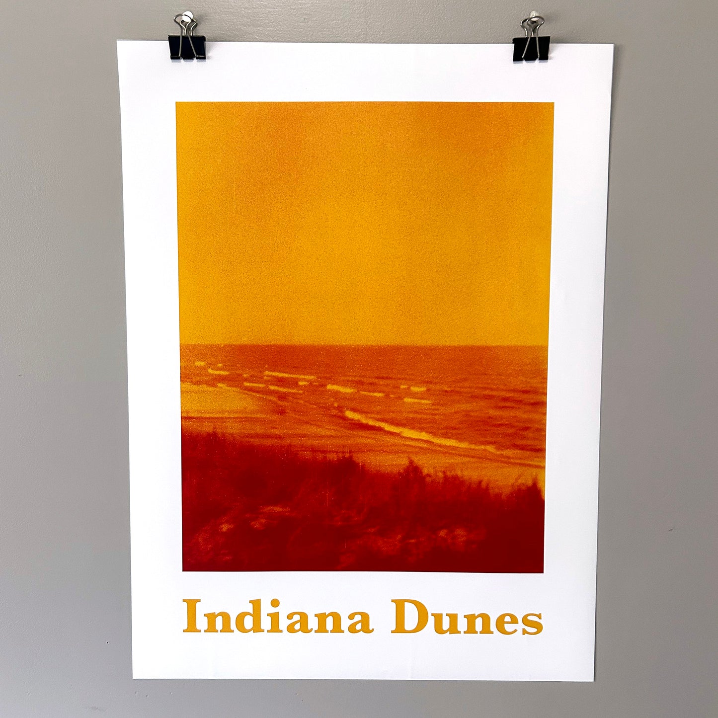 Indiana Dunes Duotone Poster